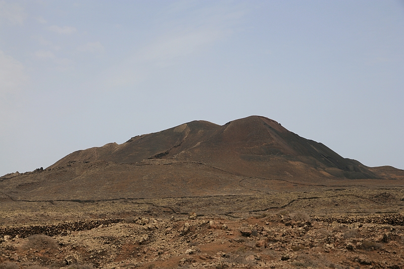 Kanary_2010 140